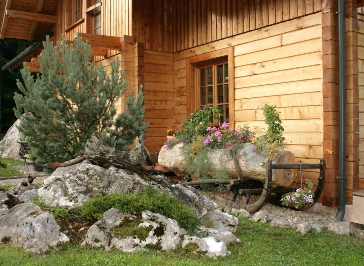 Apartment Pod Skalco Есенице Экстерьер фото