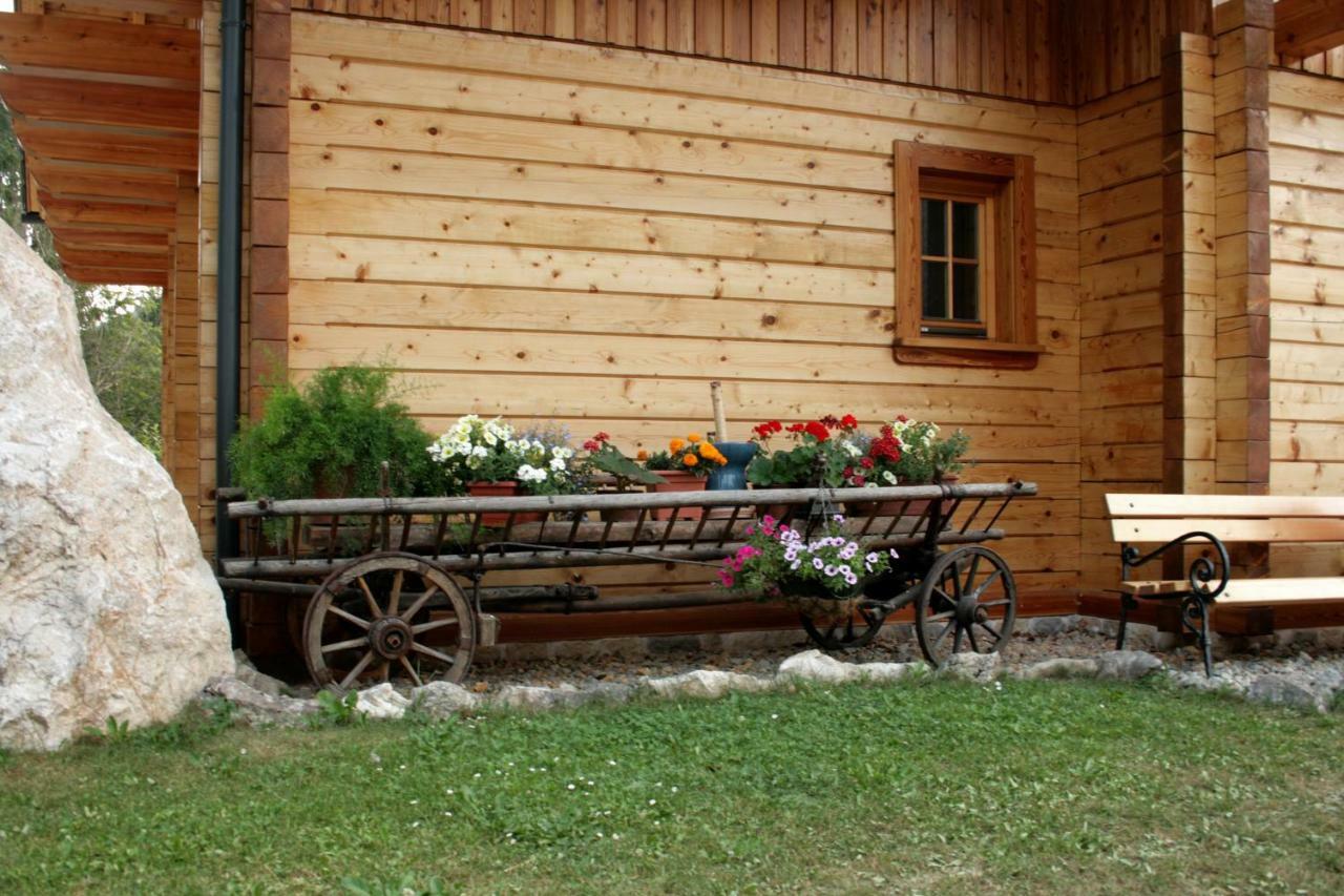 Apartment Pod Skalco Есенице Экстерьер фото